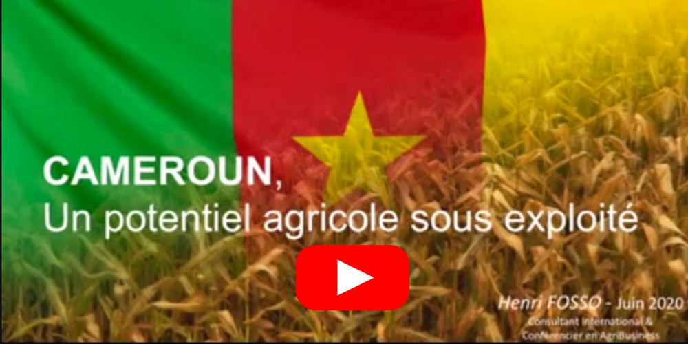Henri FOSSO parle du potentiel agricole camerounais