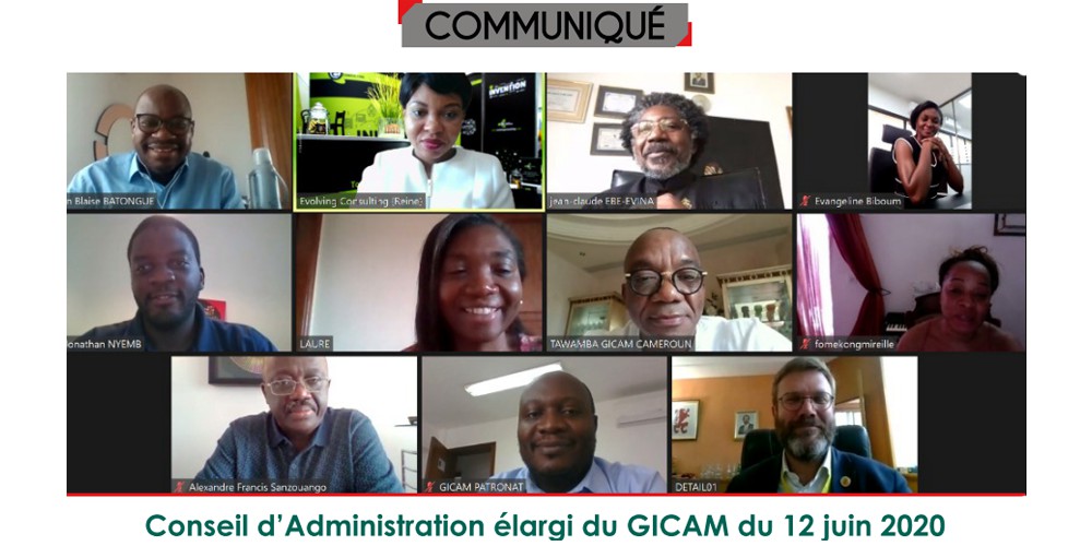 Conseil d’Administration élargi du GICAM du 12 juin 2020