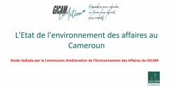 L'Etat de l'environnement des affaires au Cameroun