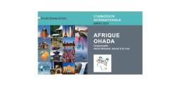 Webinaire de la Commission Ouverte Internationale Afrique OHADA