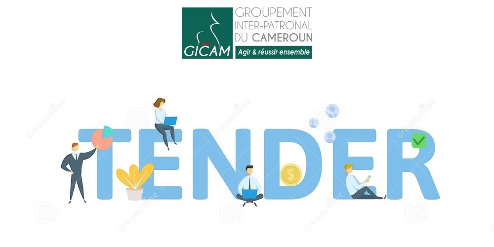 RECRUITMENT OF A CONSULTING FIRM TO ELABORATE THE ACCELARATOR PROGRAMME OF THE CDPME (GICAM)