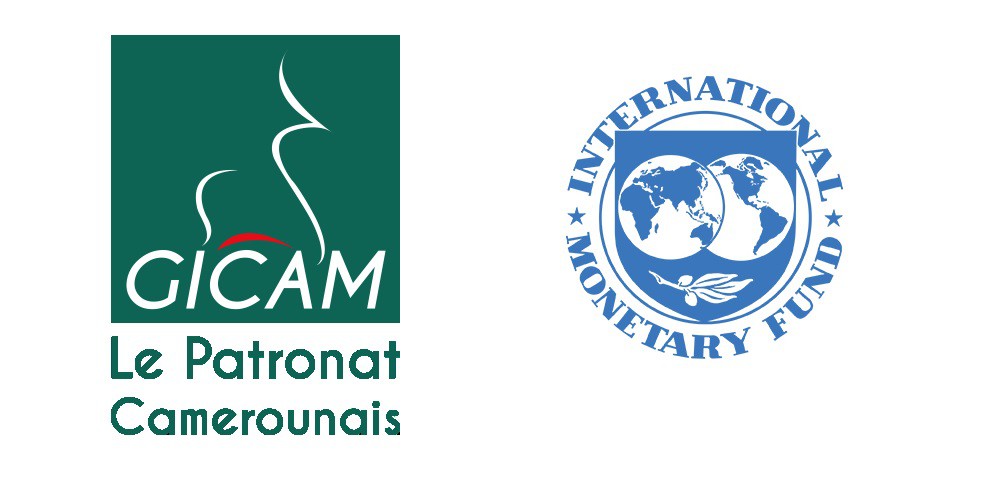 le FMI consulte le GICAM