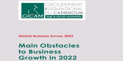 Principaux obstacles à la croissance des entreprises en 2022